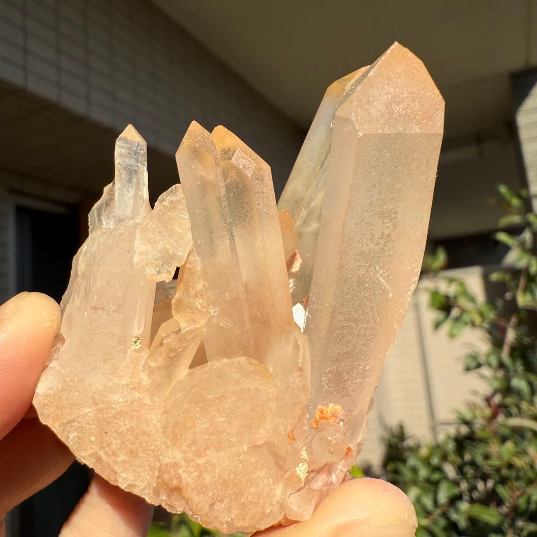 n.♡様　確認用