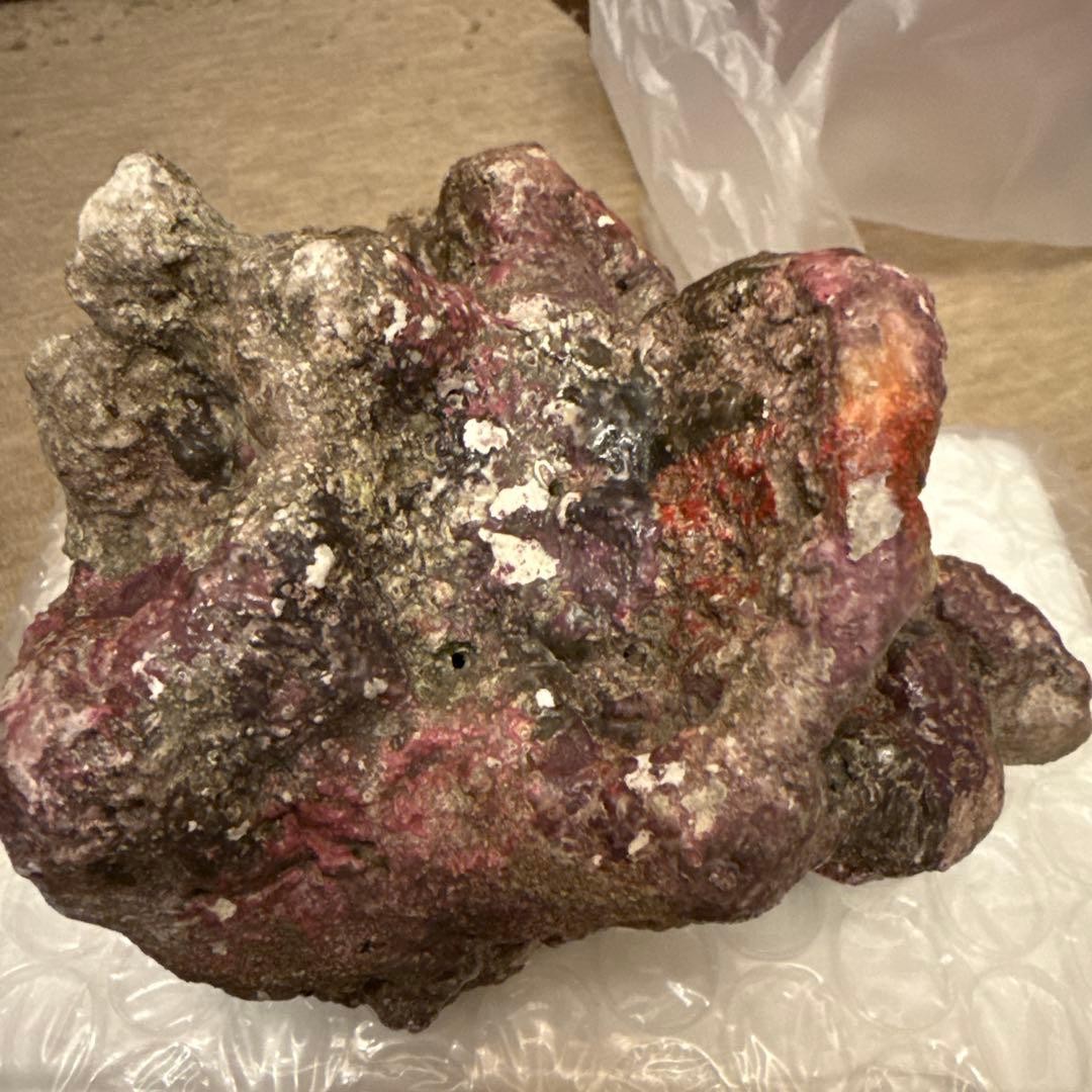 ライブロックレプリカ