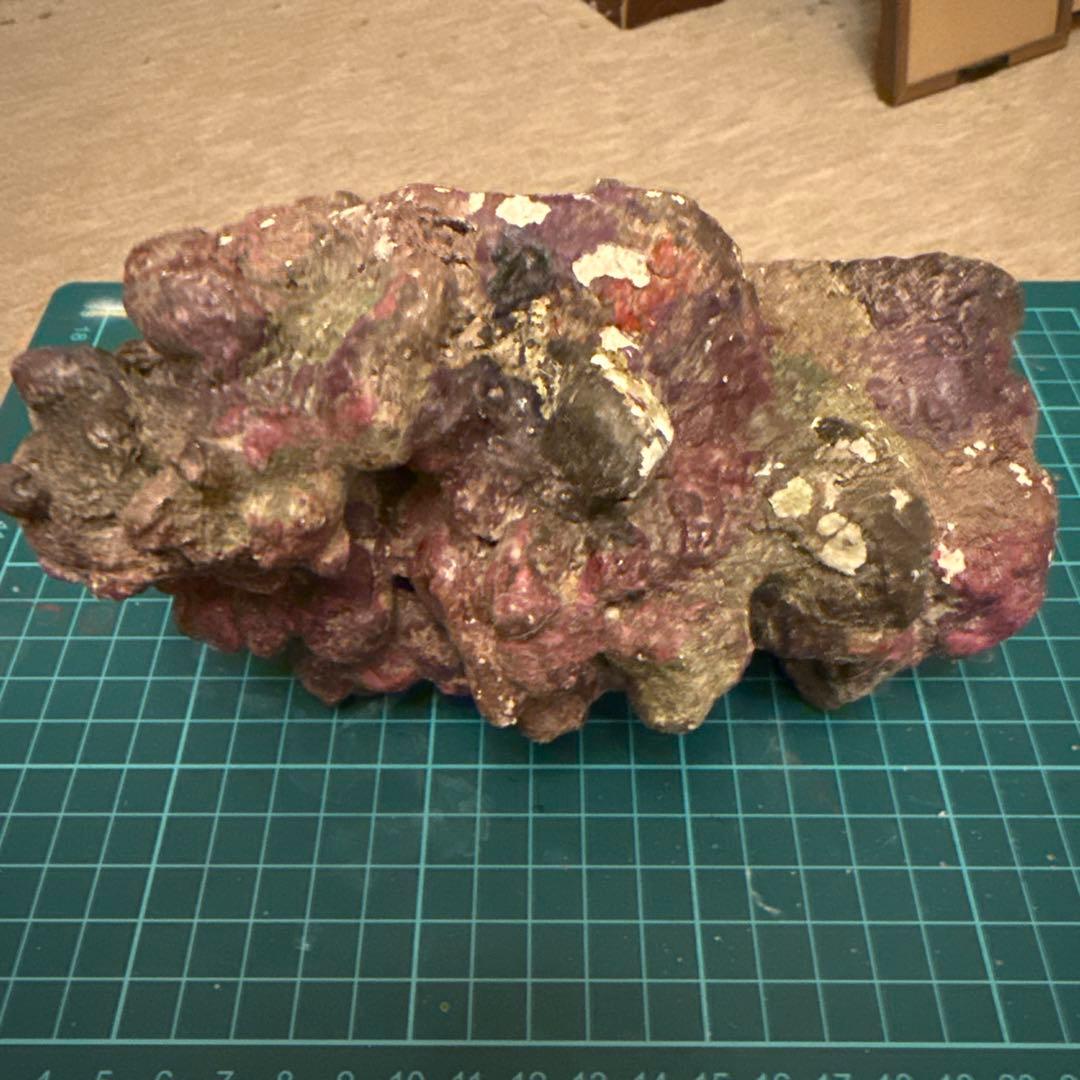 ライブロックレプリカ