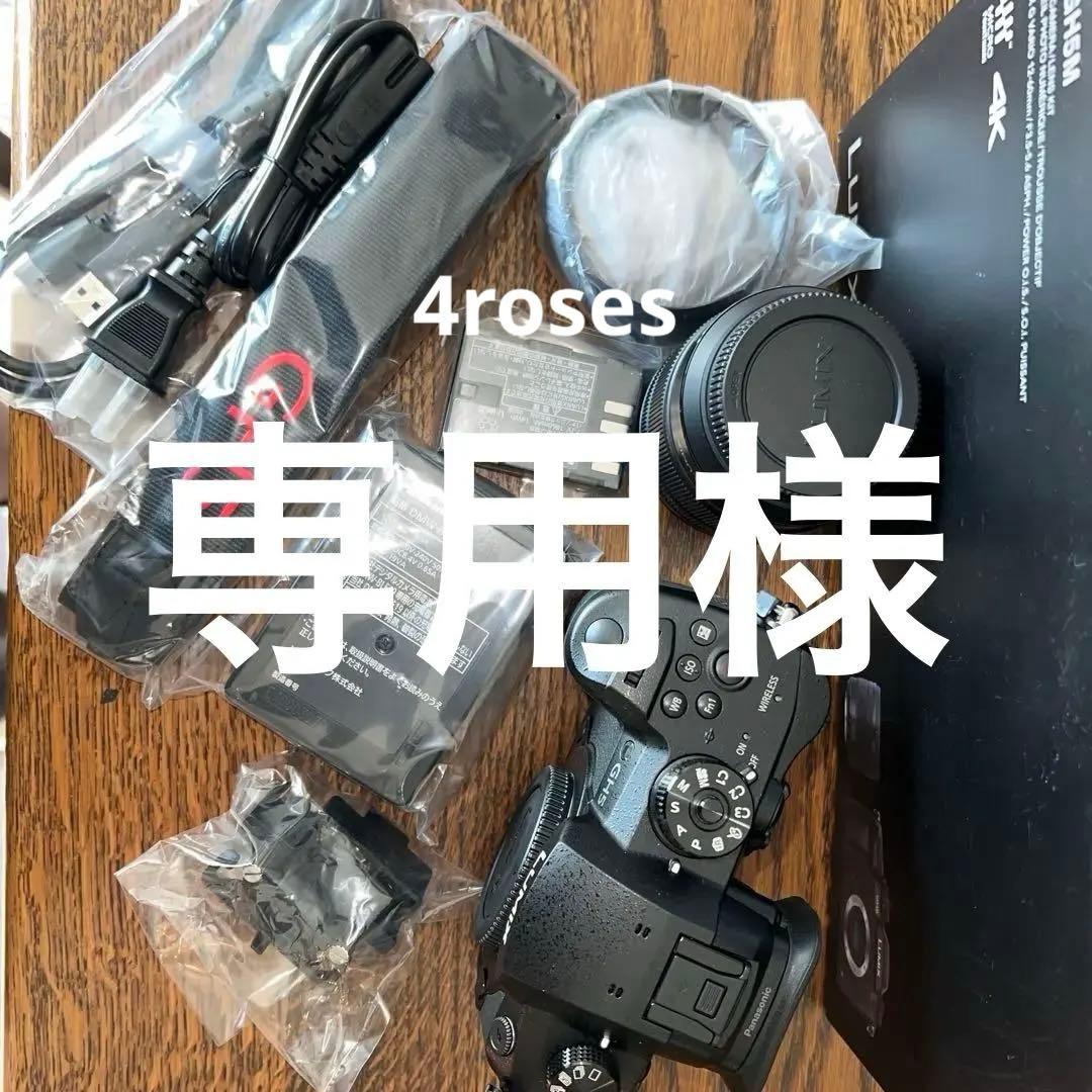 LUMIXG DH-GH5M ミラーレスカメラ 12-60mmレンズ付き