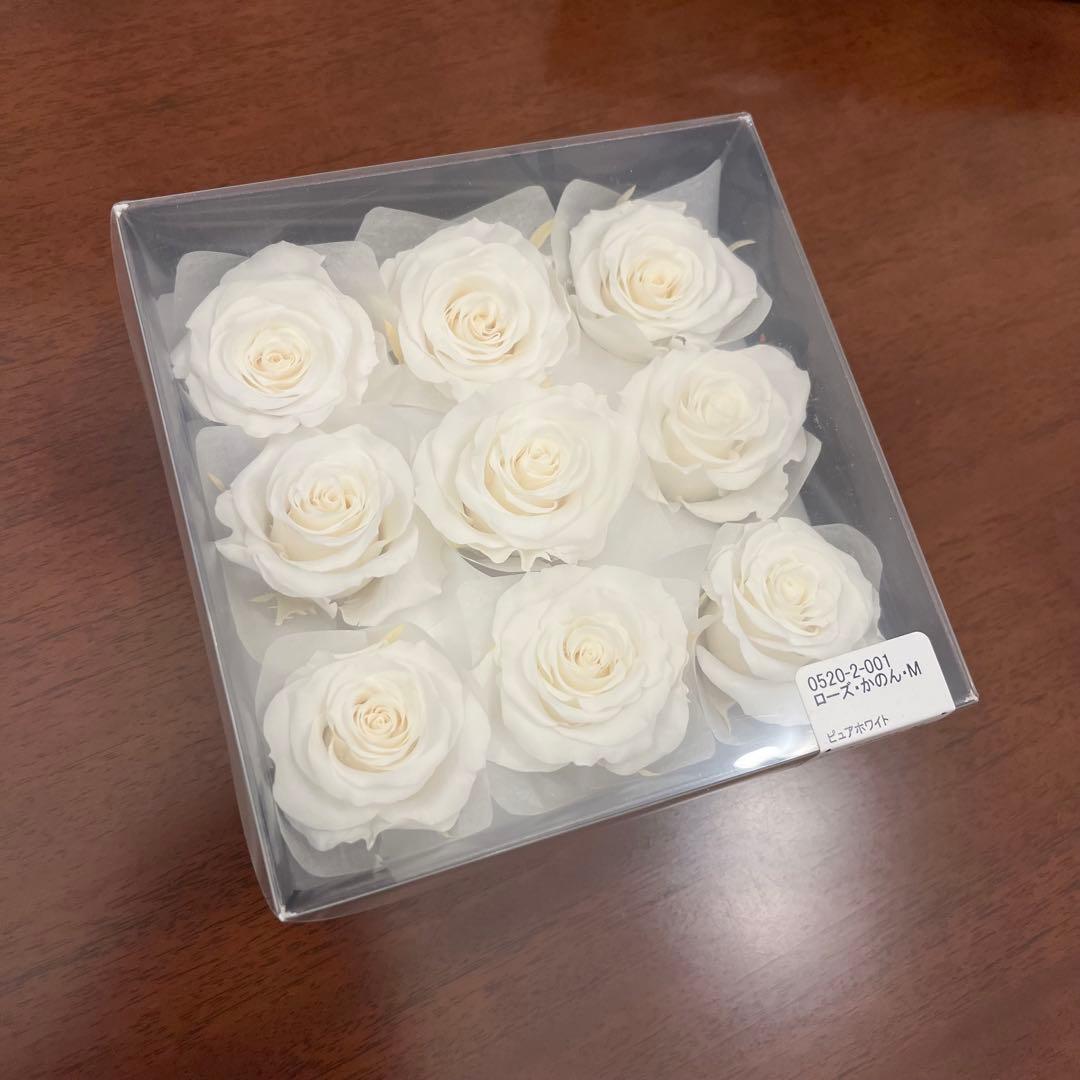 20 プリザーブドフラワー　大地農園　まとめ売り　ビビアン　かのん