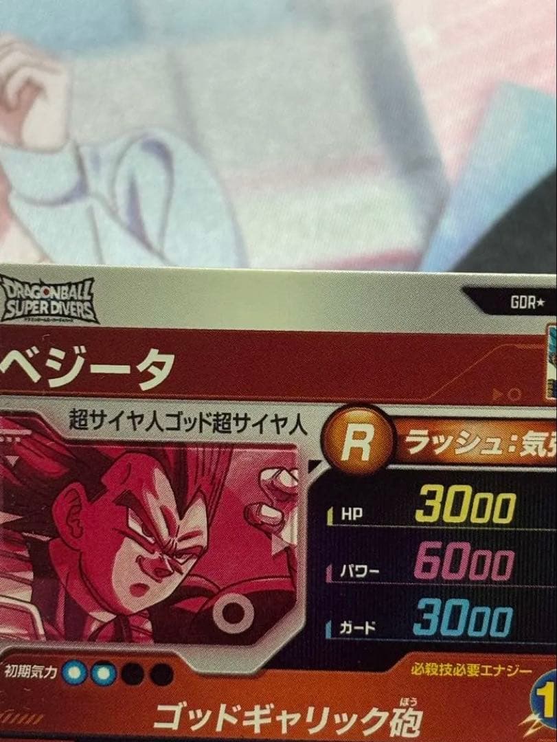 か*！様 SDV1-010 パラレル