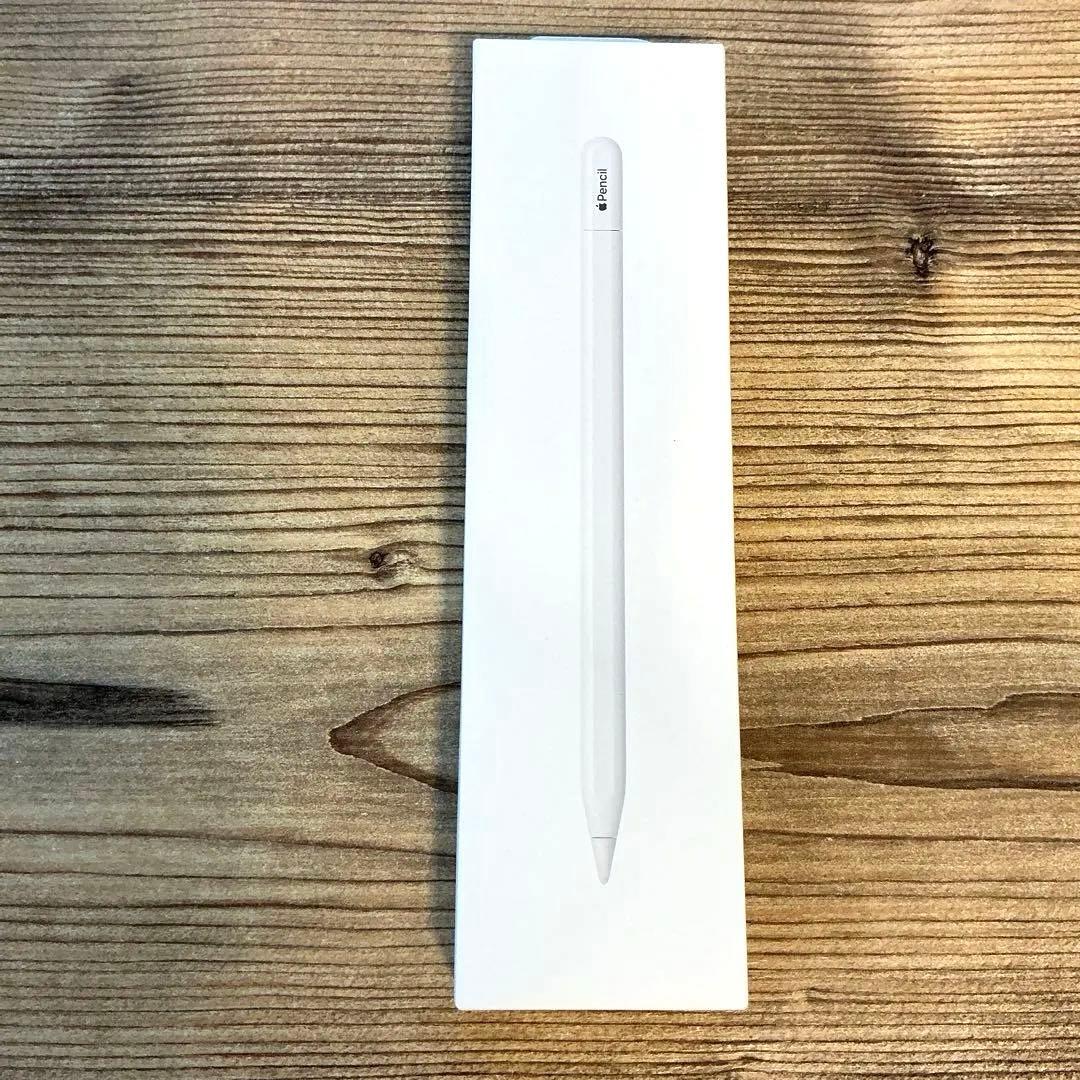 iPadアクセサリー Apple Pencil USB-C