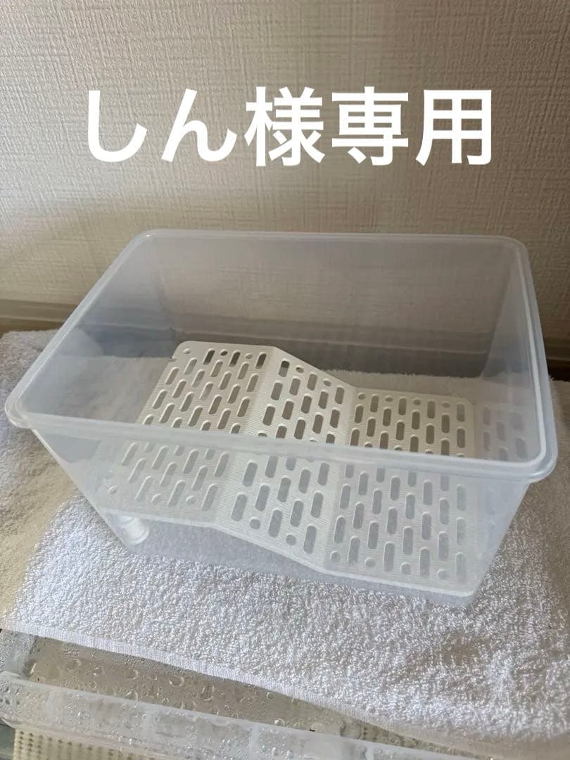 カメ専用飼育ケース　5個セット　中サイズ