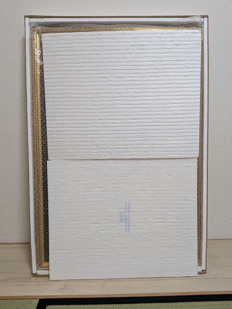 【鹿島アントラーズ】30周年ジーコサイン入りユニフォーム額縁入りNo.12/80