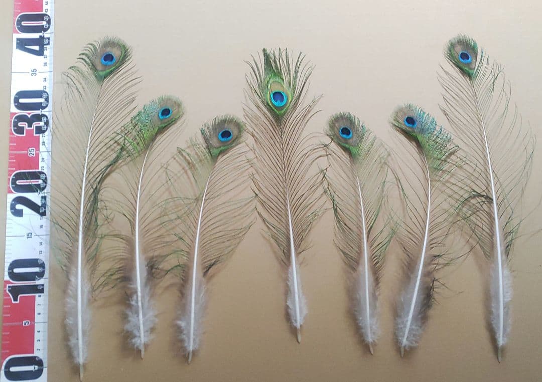 TTGさまリクエスト商品　【孔雀の羽根　ピーコックアイ、ソード&フォーク65本】