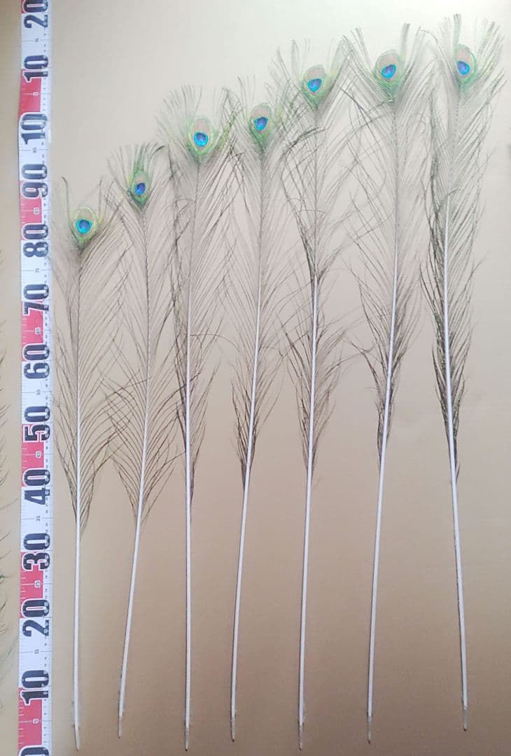 TTGさまリクエスト商品　【孔雀の羽根　ピーコックアイ、ソード&フォーク65本】