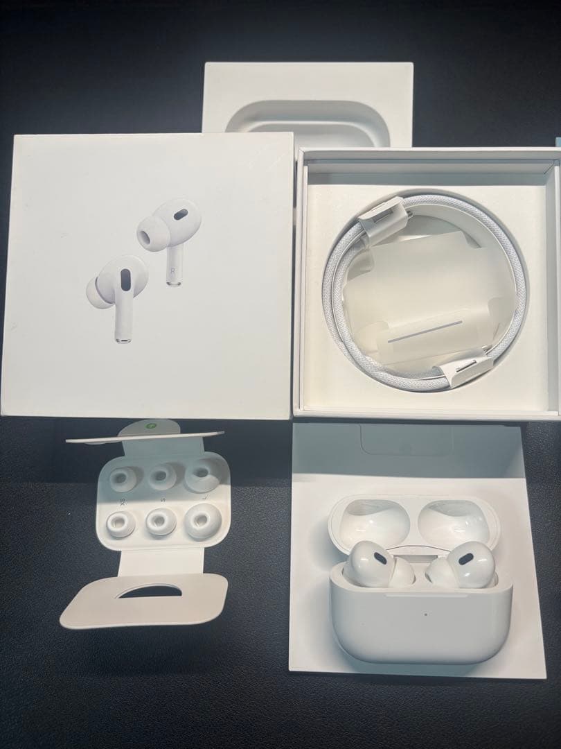 【完動美品】Apple AirPods Pro 第2世代 USB-C