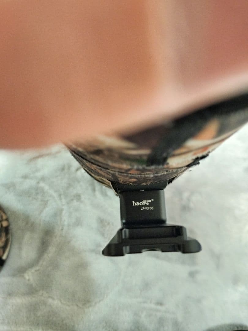 Canon RF 600mm F11 IS STM レンズ