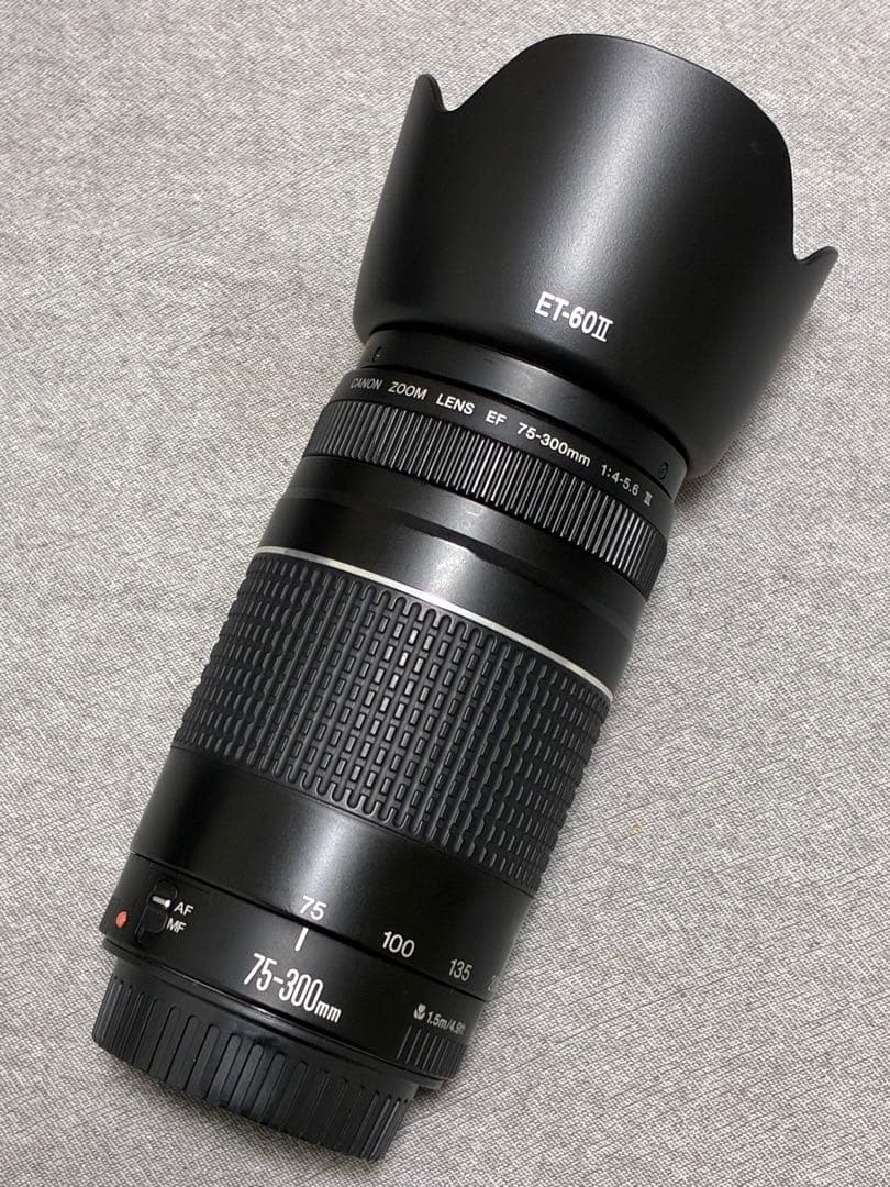 ⭐️新品フード付⭐️ Canon EF 75-300mm F4-5.6 III 望遠