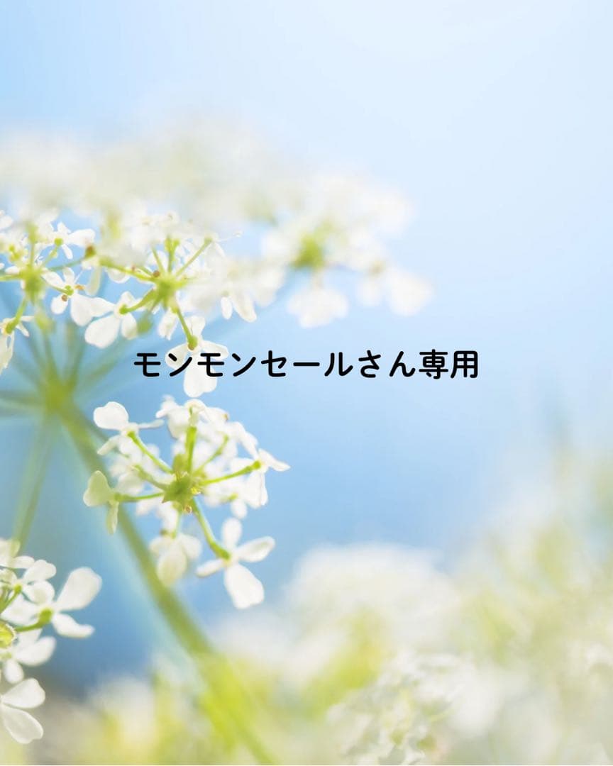 モンモンセールさん専用