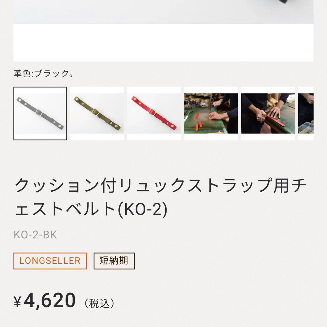 HERZ ヘルツ ベリッシモリュック チェストベルト付き