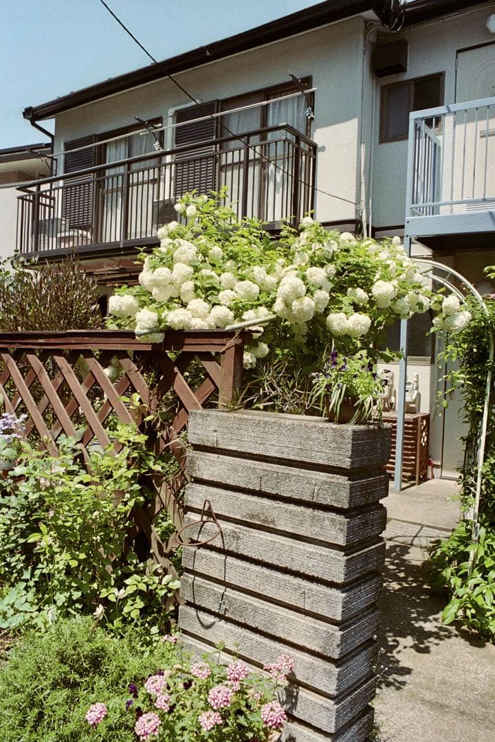 分解整備済み YASHICA ヤシカ 35 CC フィルムカメラ 実用品