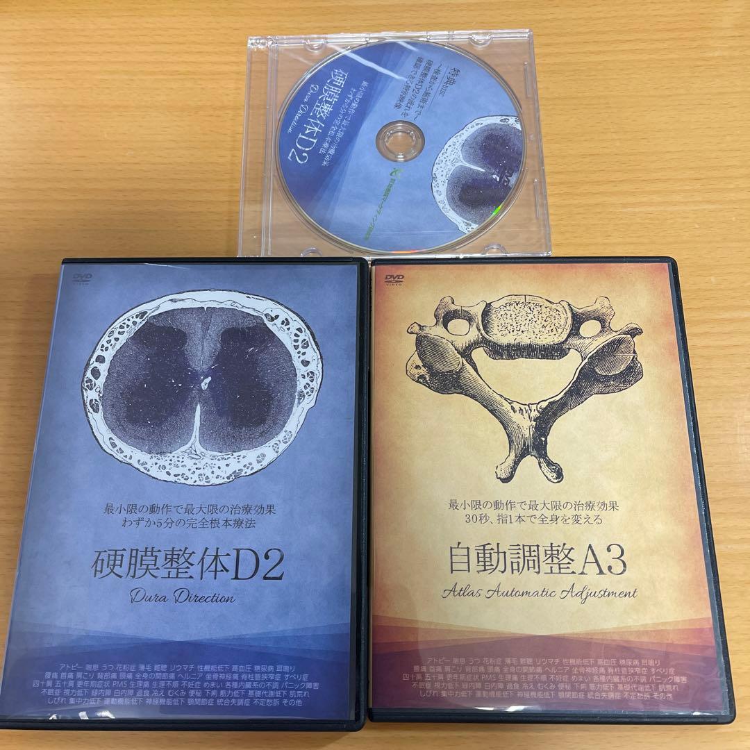 DVD 硬膜整体D2・自動調整A3 篠崎真樹