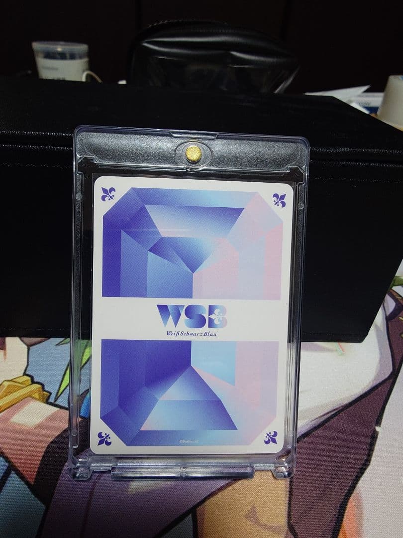 未来での戦いツナ　SP ヴァイスシュヴァルツブラウ　リボーン