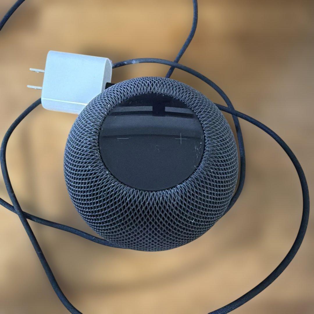  pod mini スペースグレイ２個