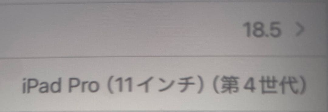 iPad Pro 11 ４世代 128GB wifi セルラーモデル