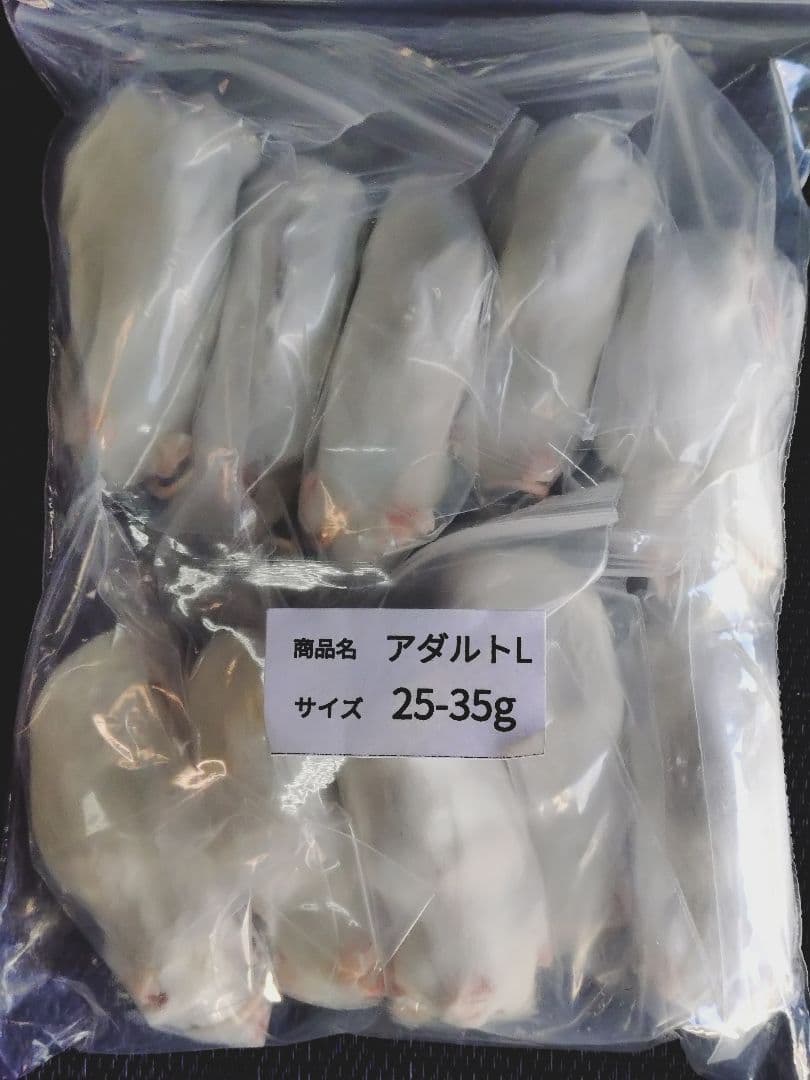 送料無料 冷凍マウスアダルトＬ100匹　ホッパー50匹