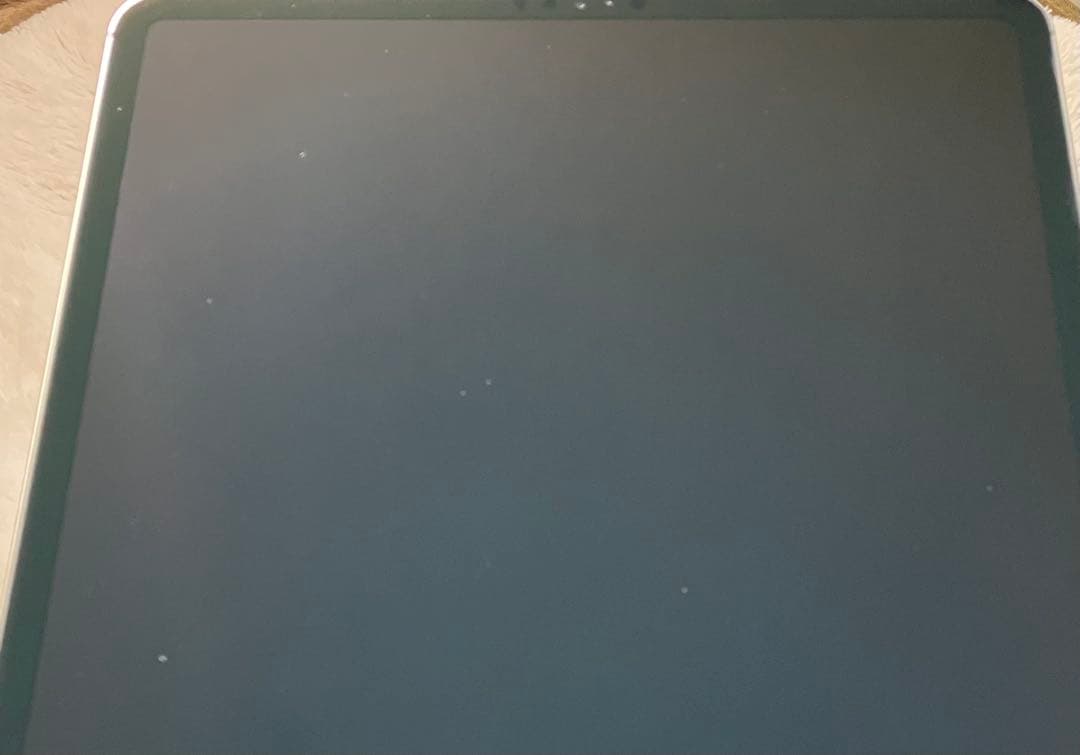 【完動品】iPad Pro 12.9 256GB SIMフリー 【発送】