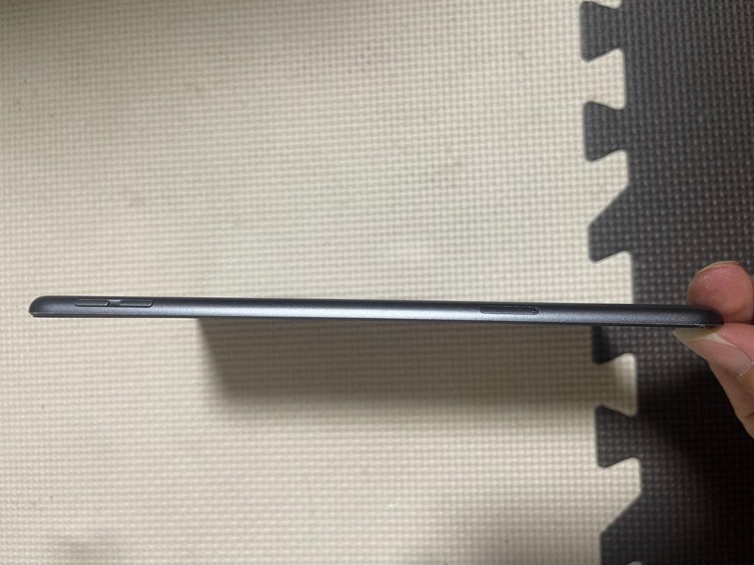 Ipad Mini 第5世代64GB