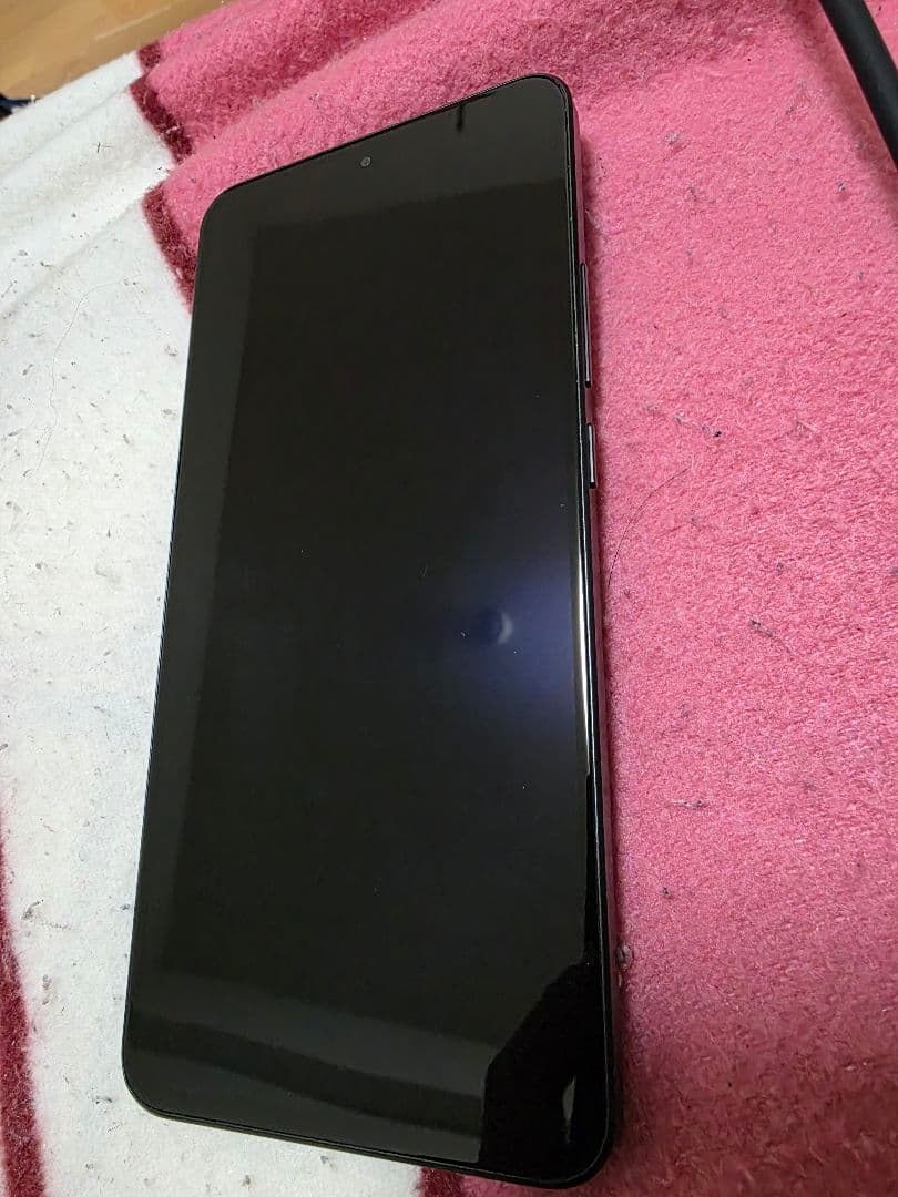 Xiaomi 13T Pro 国内版 SIMフリー　12GB/256GB