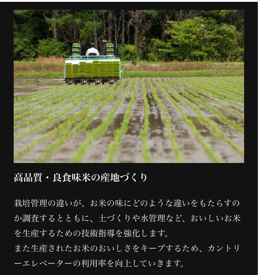 米　特別限定価格！白米【令和7年産岩手県産ひとめぼれ20kg】 (5kg×4)