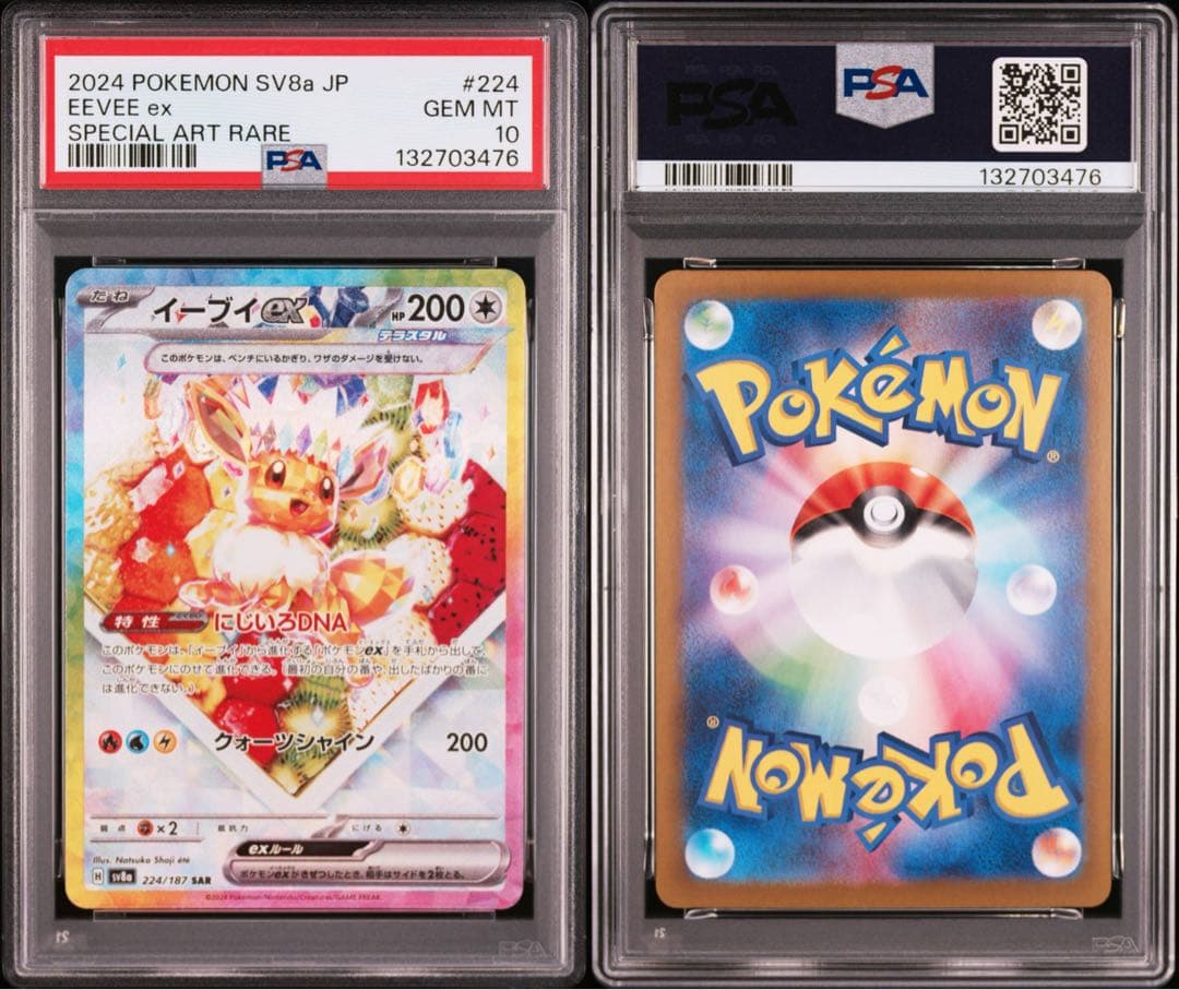 【 PSA10.10連番】ブイズ　SAR テラスタルフェスex ブラッキー