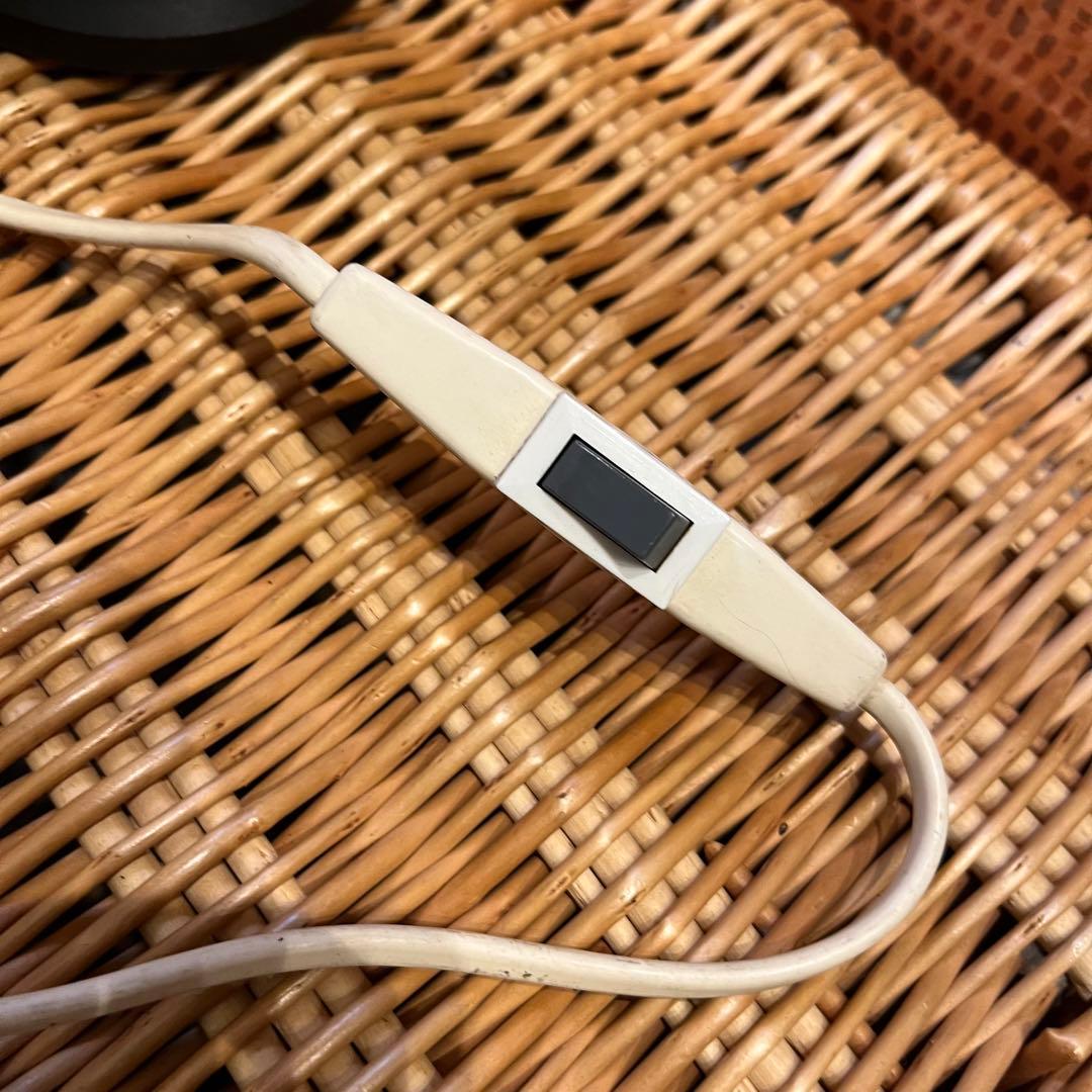 稼動品★ デンマーク 2way ビンテージ E.S. Horn　ペンダントライト