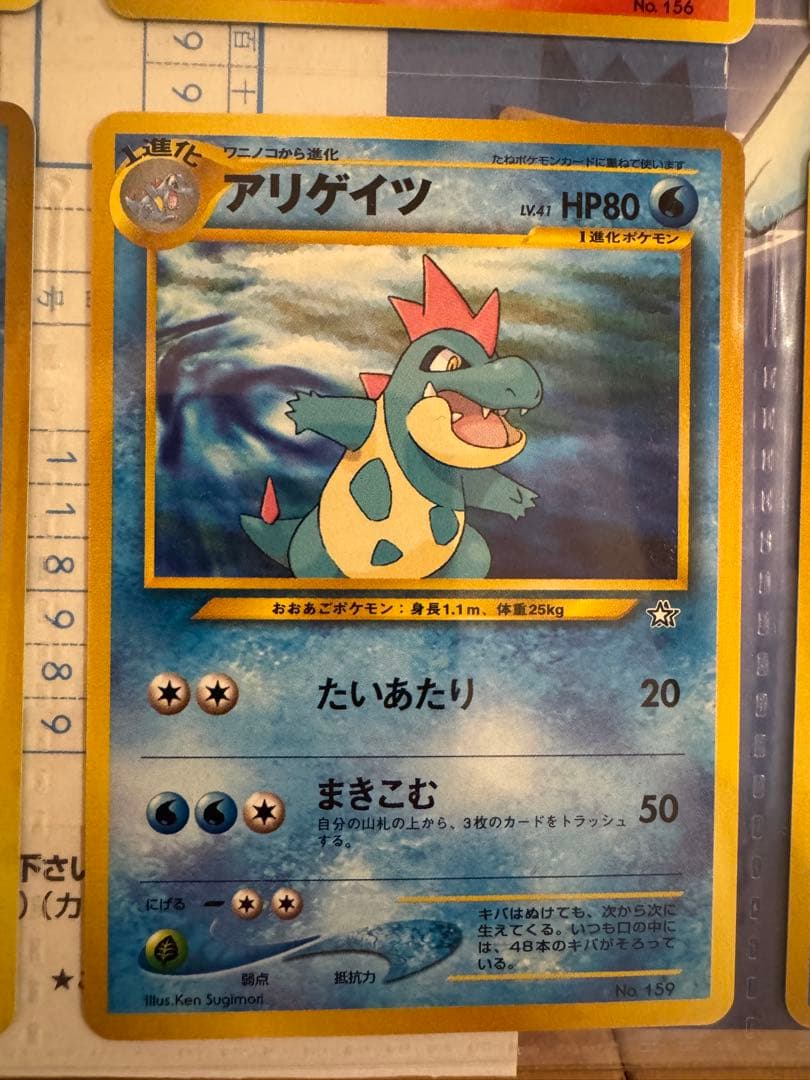 ポケモンカードneo　金銀発売記念　プレミアムファイル