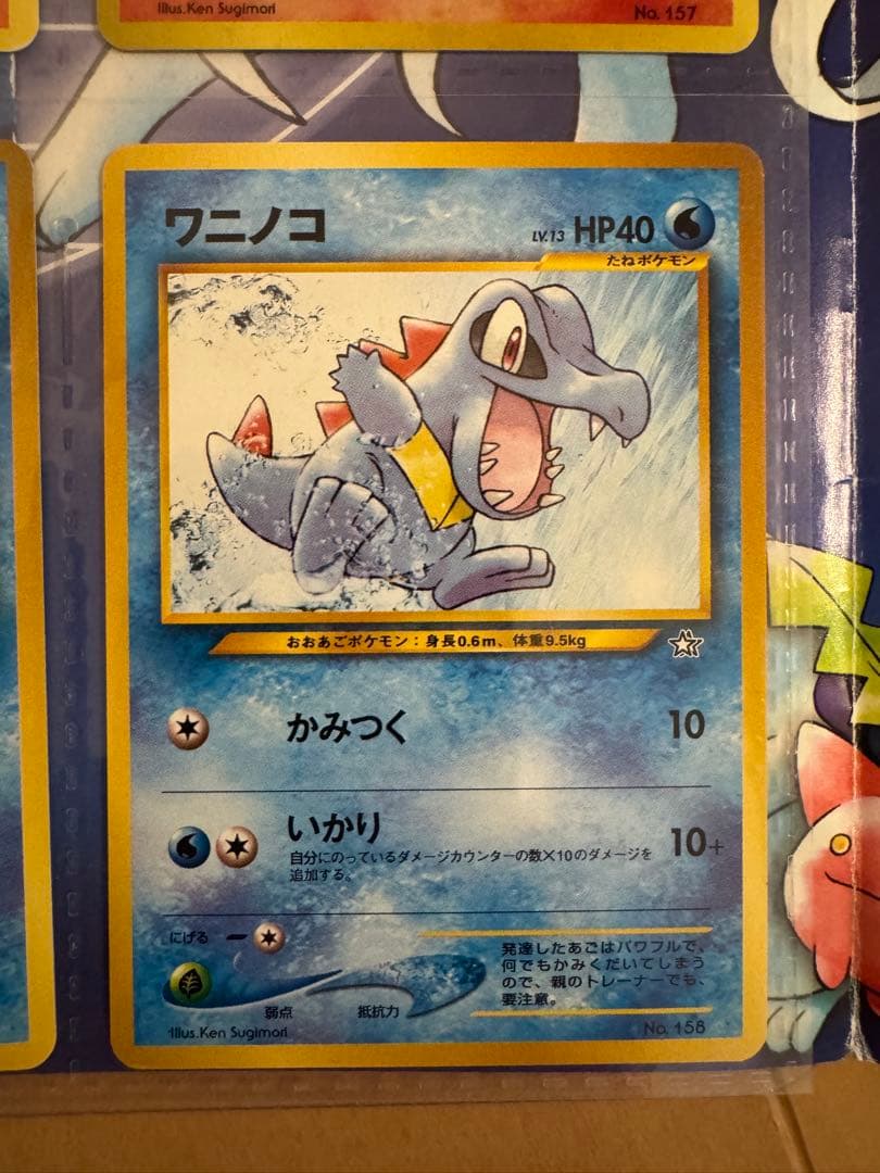 ポケモンカードneo　金銀発売記念　プレミアムファイル