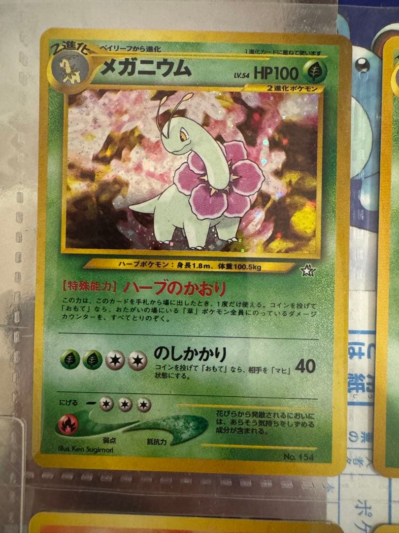 ポケモンカードneo　金銀発売記念　プレミアムファイル