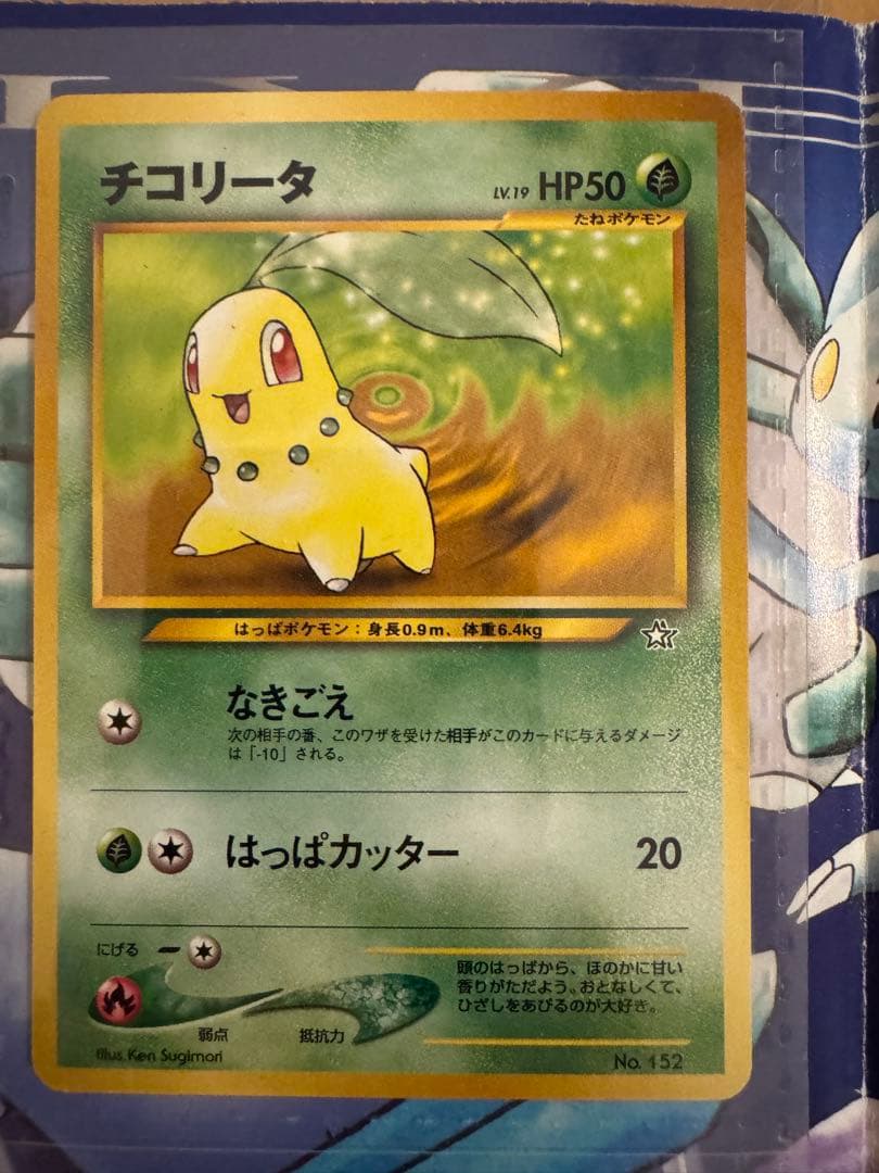 ポケモンカードneo　金銀発売記念　プレミアムファイル