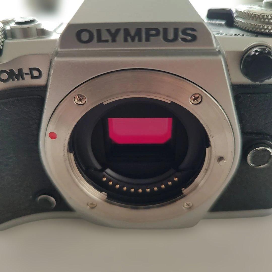 s*c様 OLYMPUS OM-D E-M5 Mark2　ショット数7433
