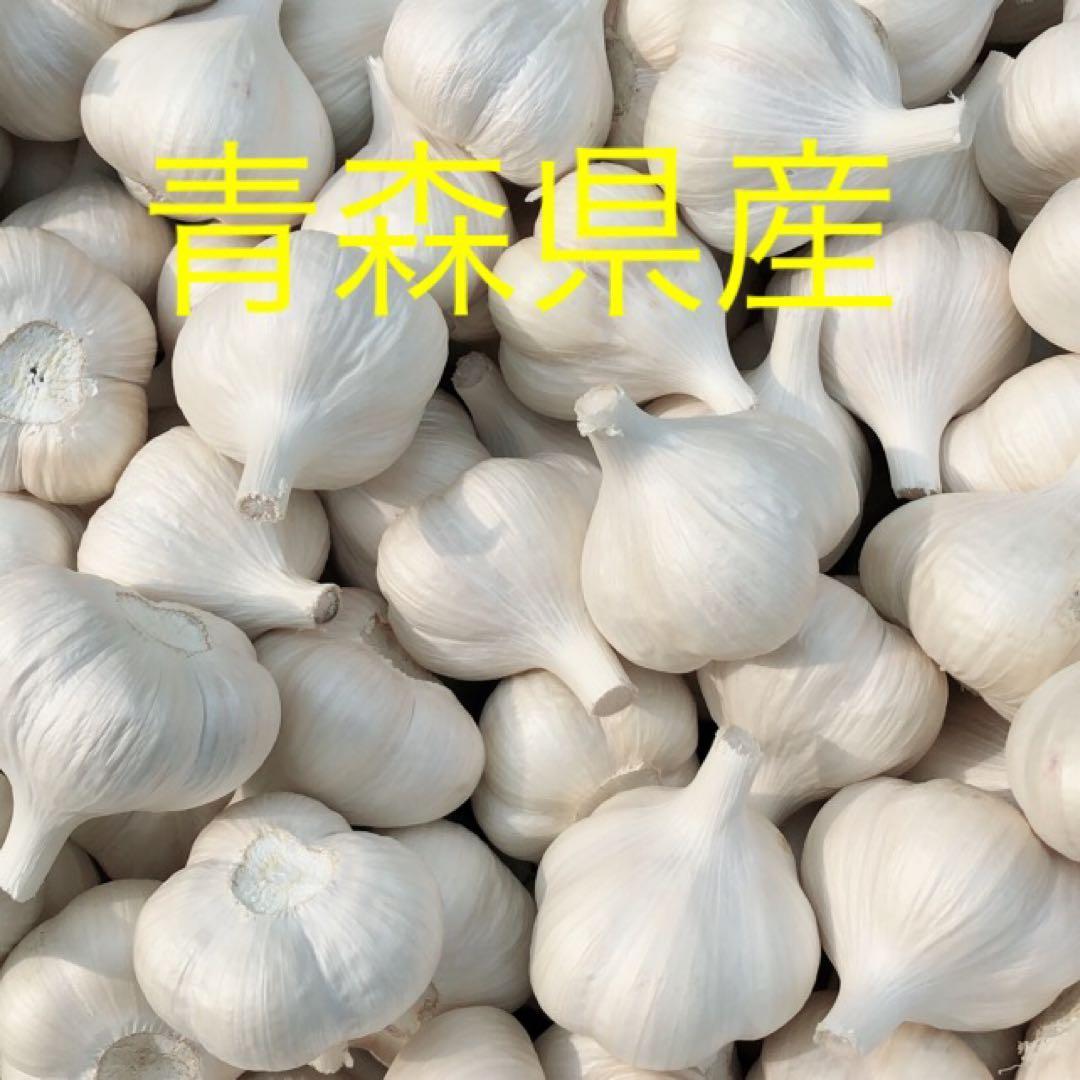 青森県産にんにくMサイズ5キロ