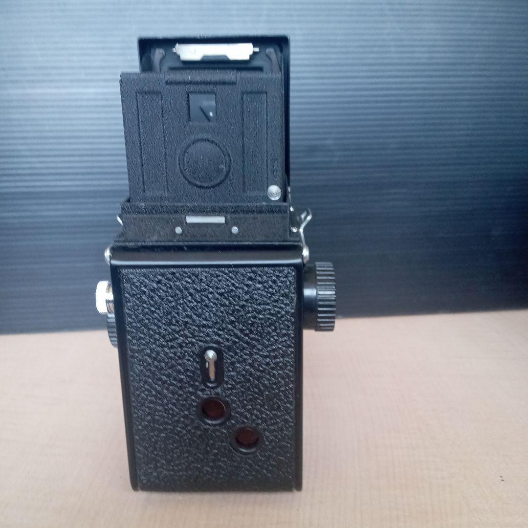 SEAGULL 海嶋　4B-1