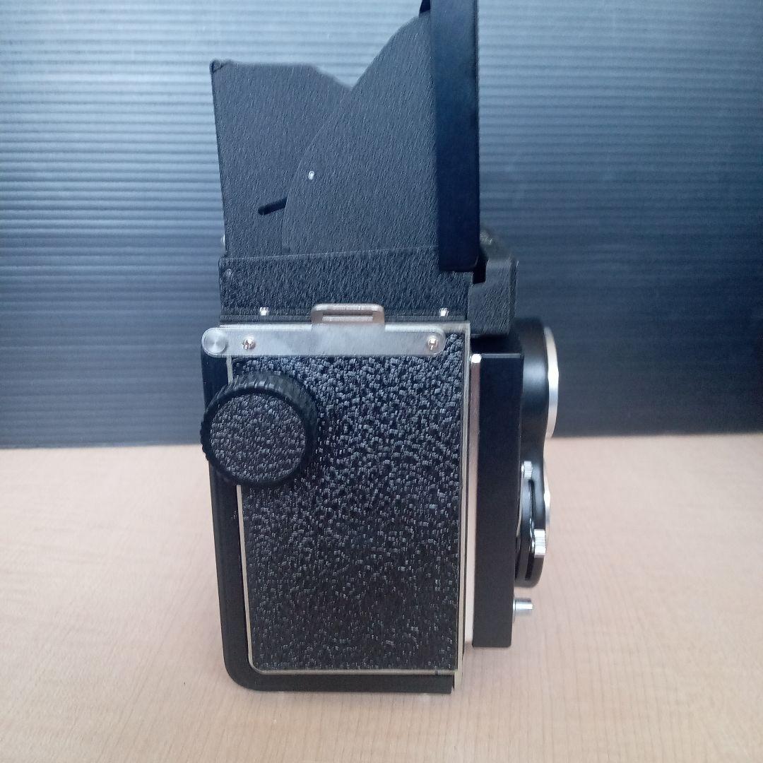 SEAGULL 海嶋　4B-1