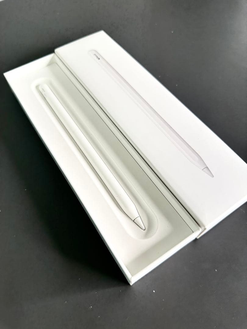 iPad Pro 256GB スペースグレイ第二世代+アップルペン　ケース付