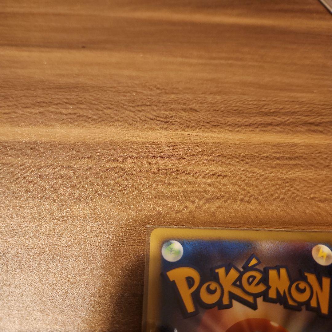 【美品】エンテイ&ライコウlegend