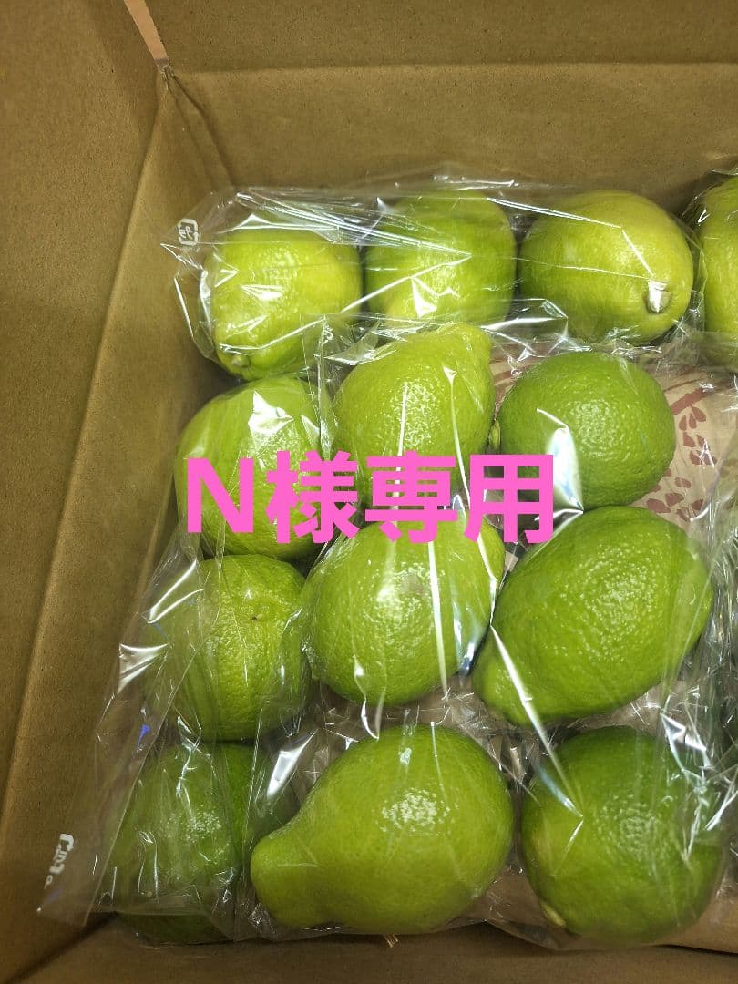 温室レモン詰合せ(100サイズ箱)