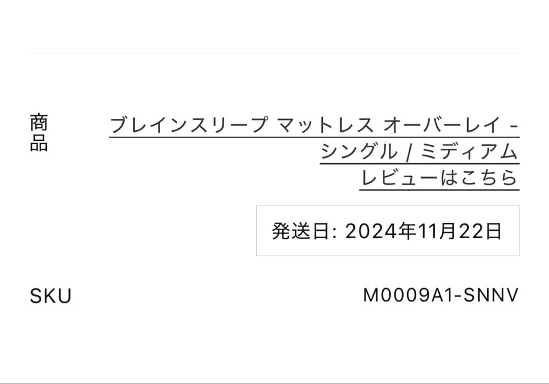 ブレインスリープ オーバーレイ シングル