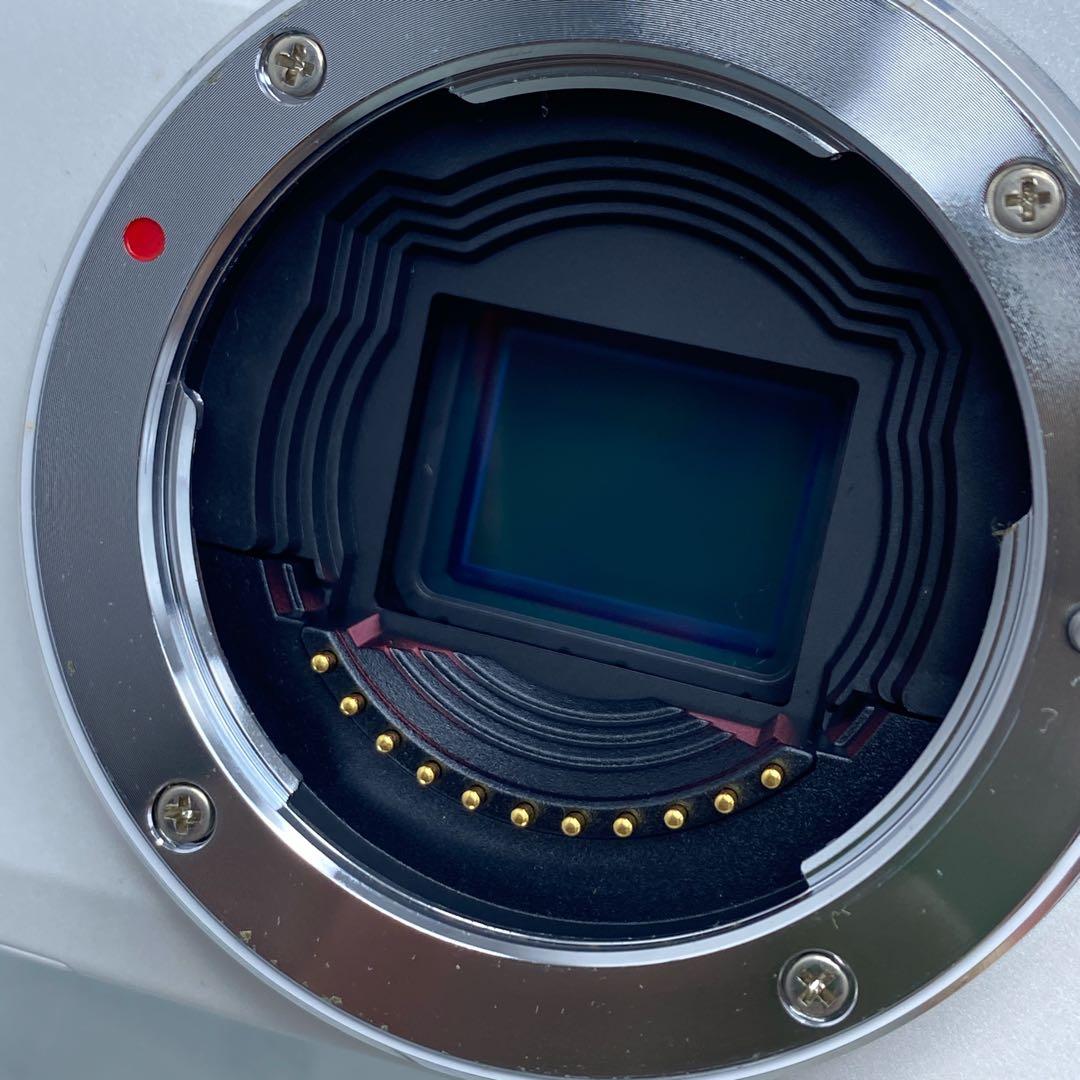 美品OLYMPUS オリンパスPEN Lite E-PL6ダブルズームキット