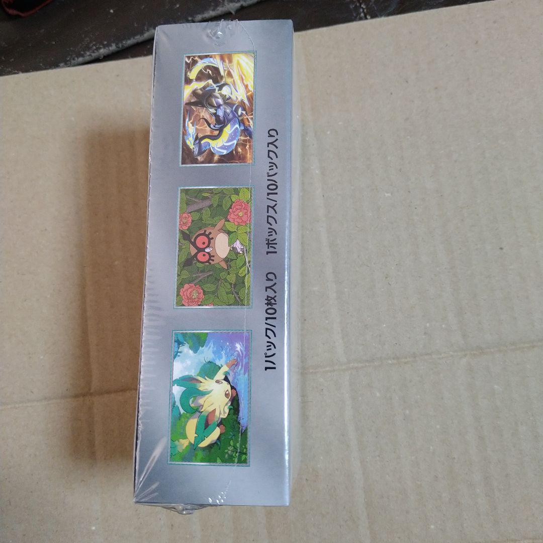 t*u様 ポケモンカードゲーム テラスタルフェスEX