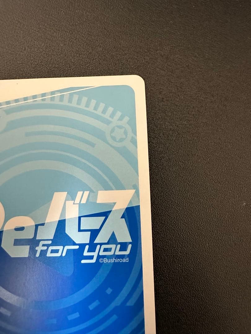 ス*カ様 Re:ゼロ レム&ラム PP