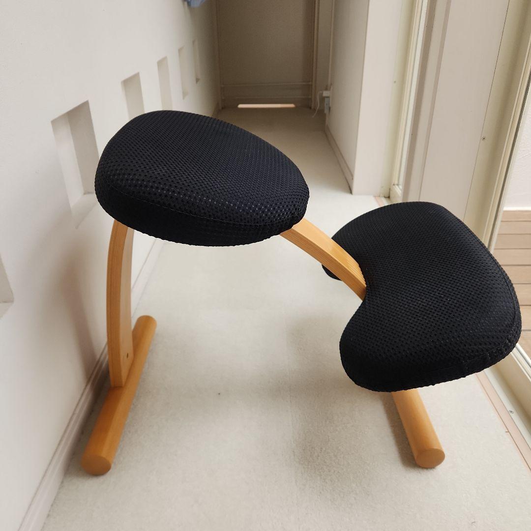 バランスチェア　イージーチェア　balansEasy