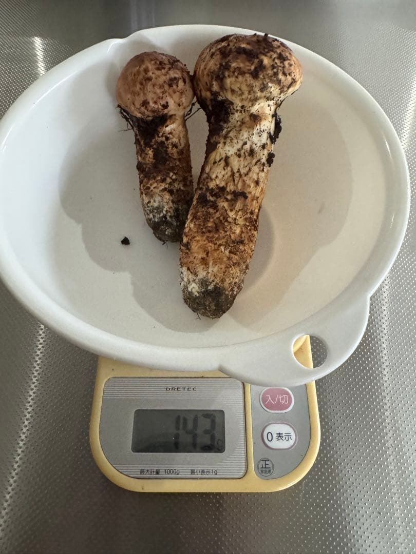 国産松茸信州￼長野伊那産￼143㌘10月26日9時15分取れたて