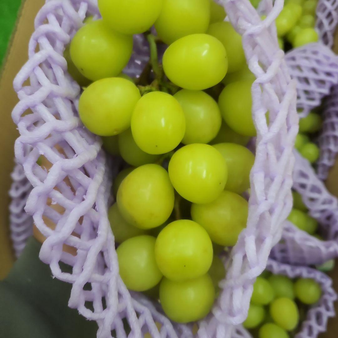 5️⃣ 山梨県産 シャインマスカット １３房入り 箱込み5.4キロ