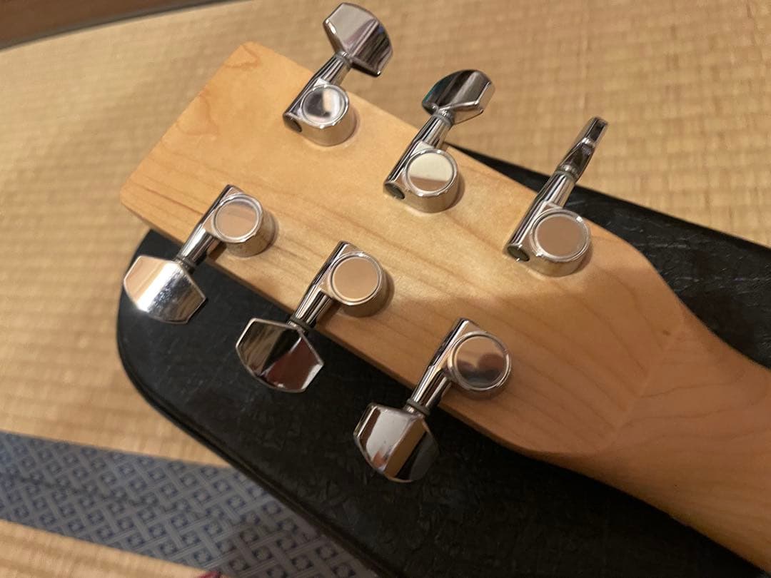 ギター Norman Expedition Nat Folk Solid Spruce