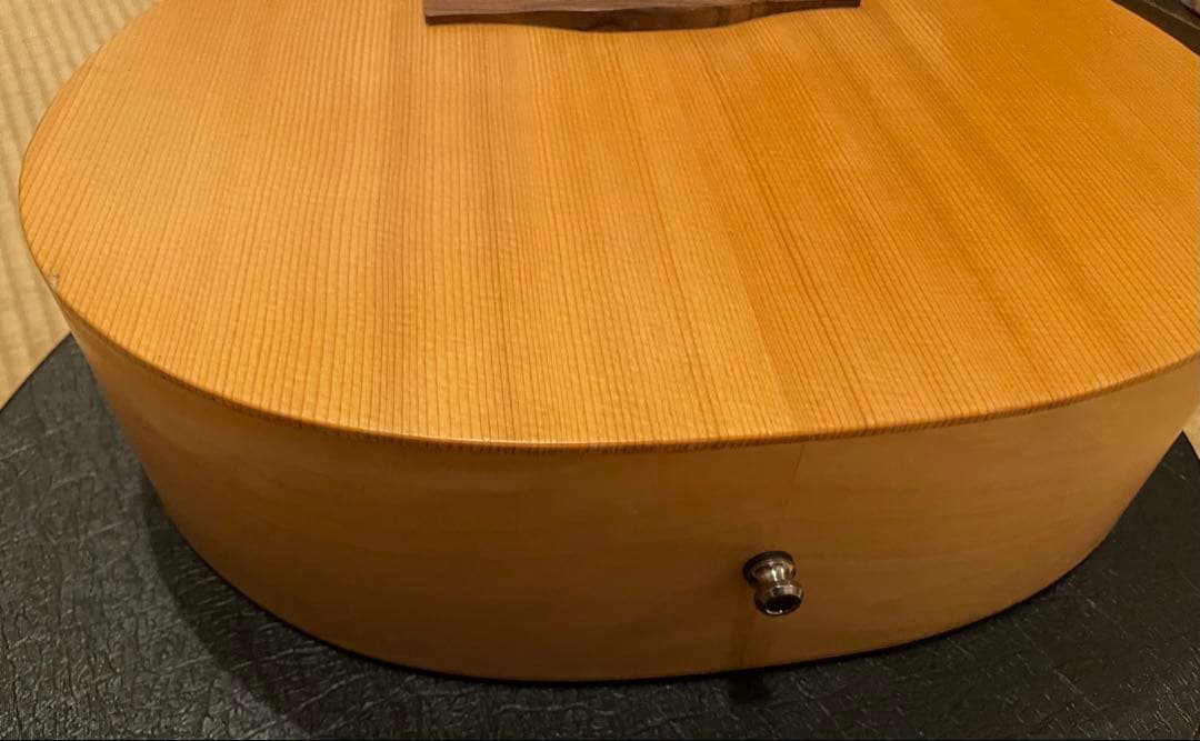 ギター Norman Expedition Nat Folk Solid Spruce