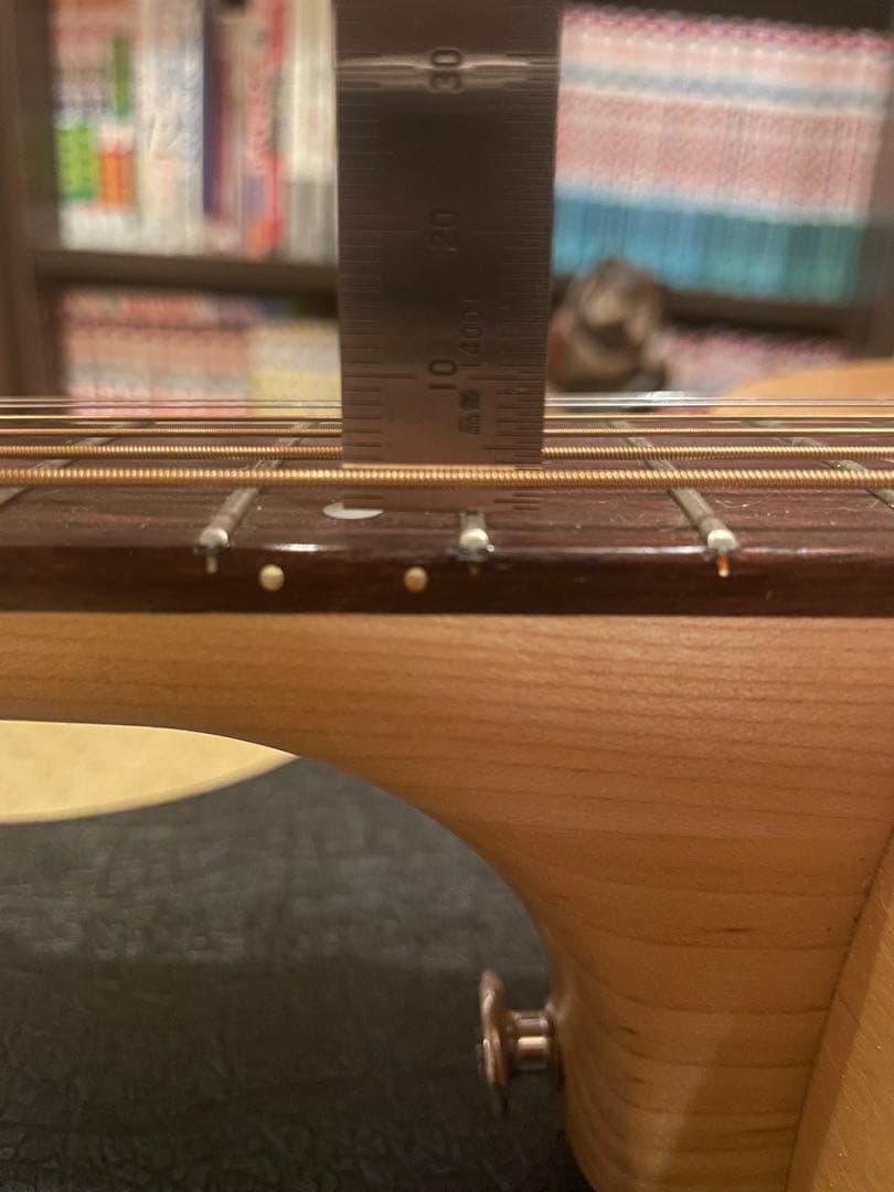 ギター Norman Expedition Nat Folk Solid Spruce