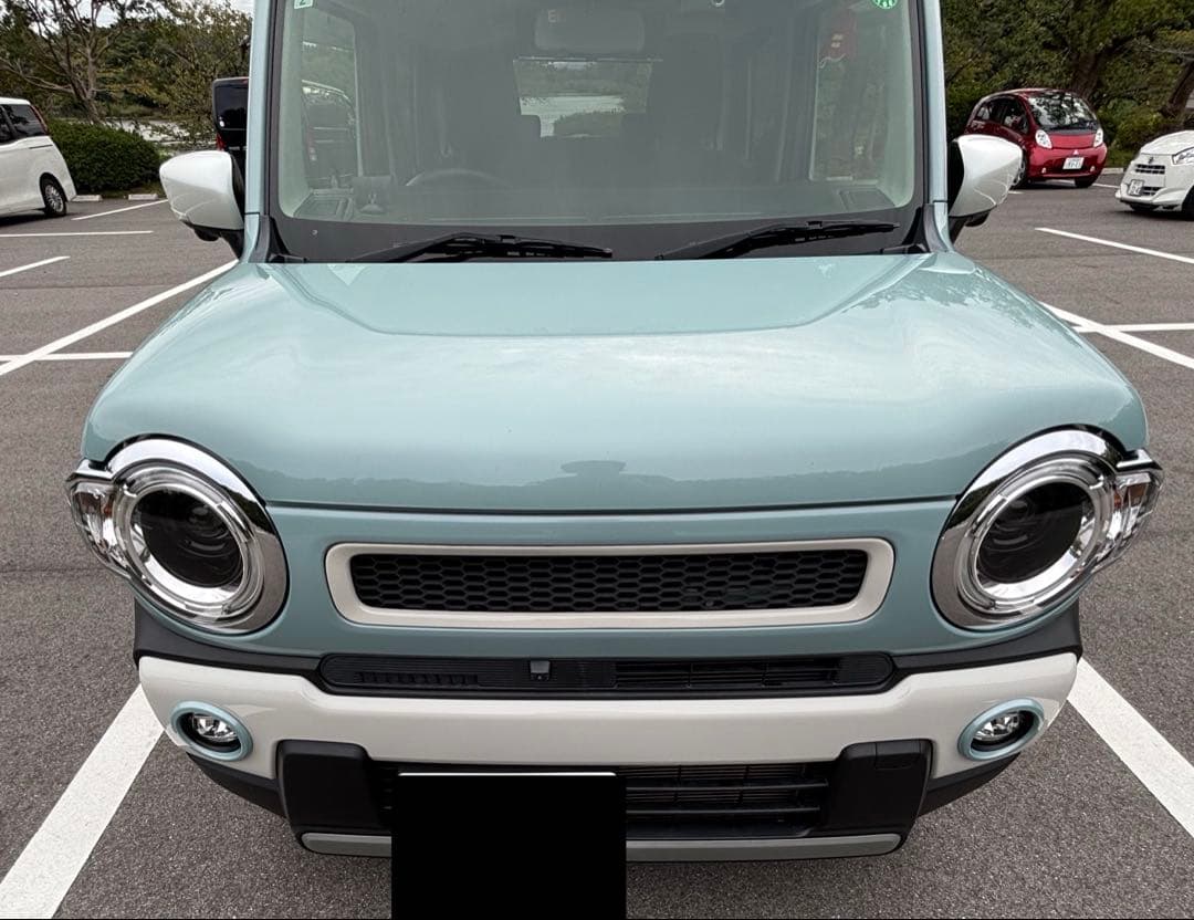 スズキ ハスラー グリル 純正 加工品